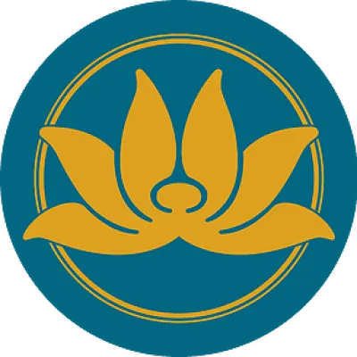 Vietnam Airlines Virtual Airlines